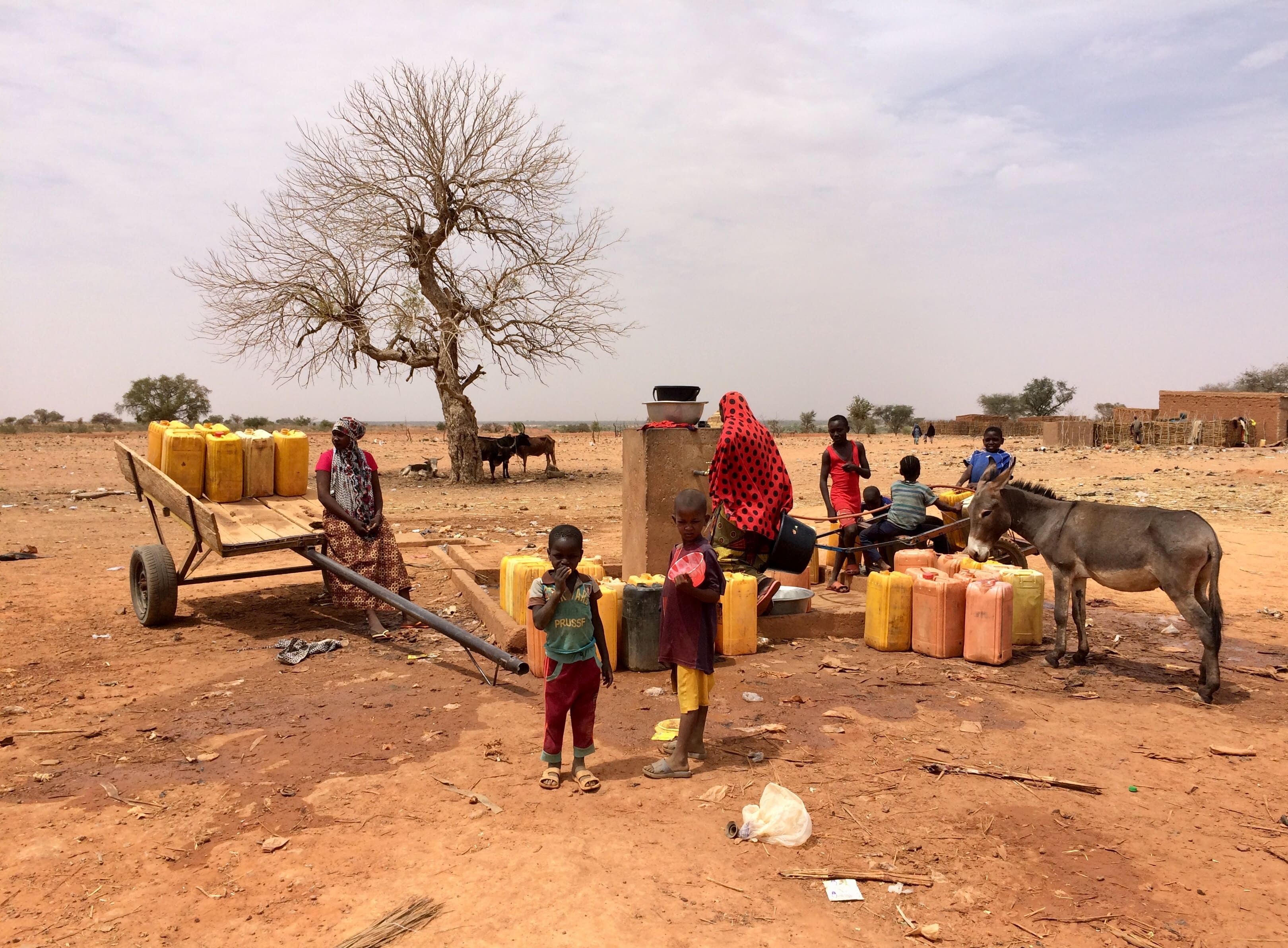 Bannière Fonto de vivo au Niger