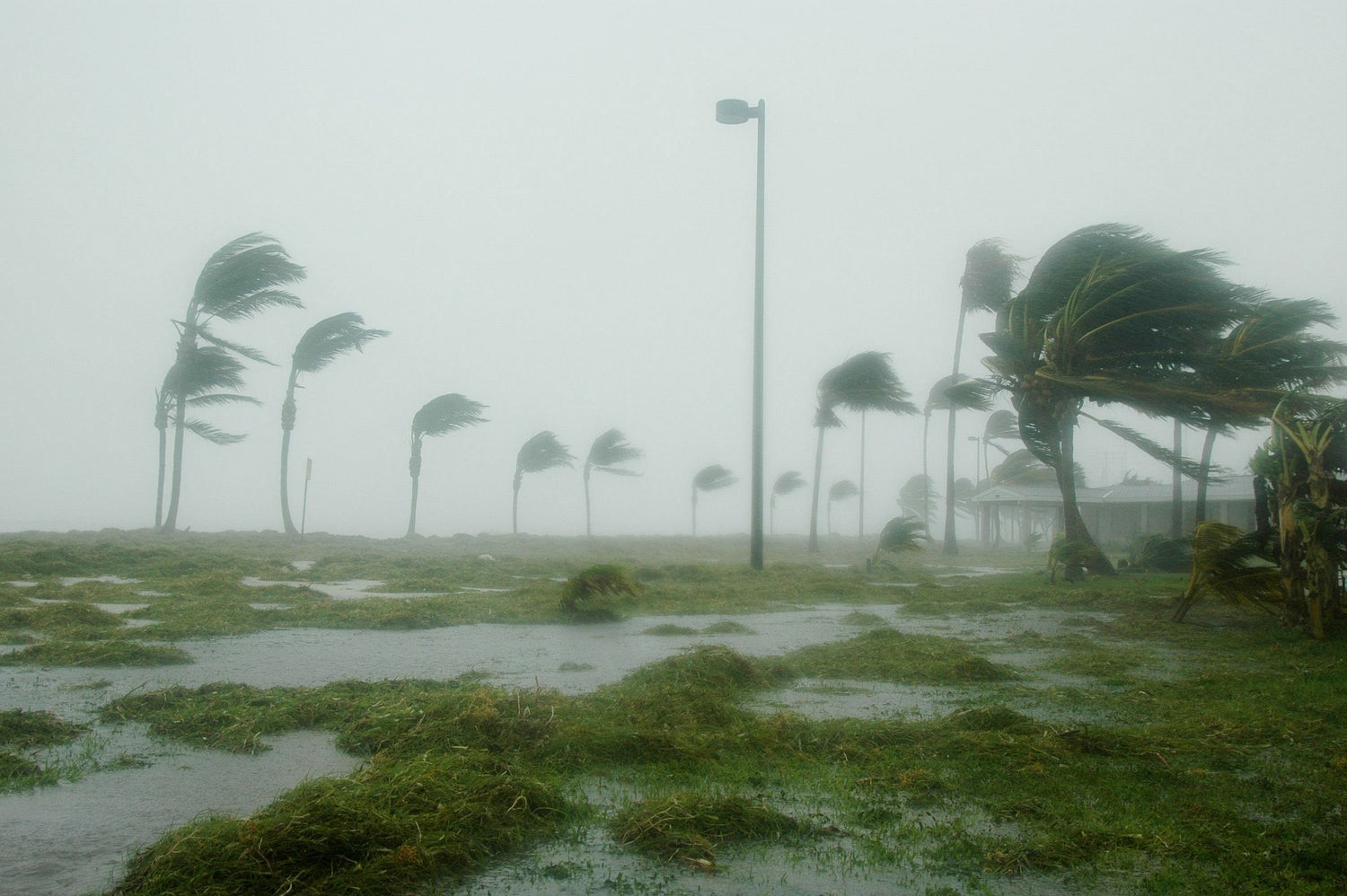Tempête, vent et cylone Chido à Mayotte