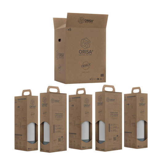 Visuel du pack orisa x5